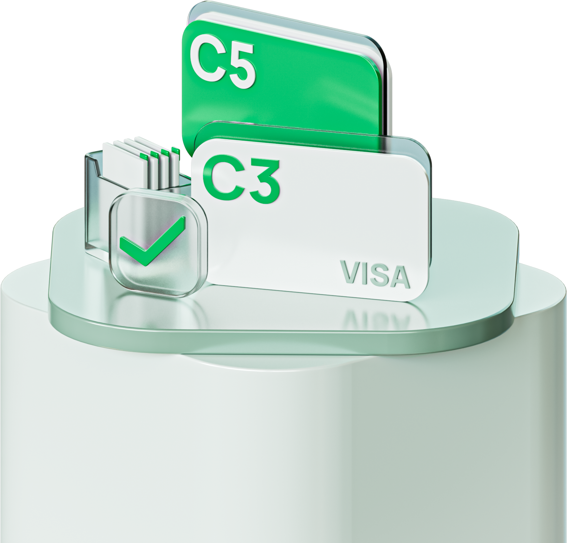 Получение визы С3 и С5